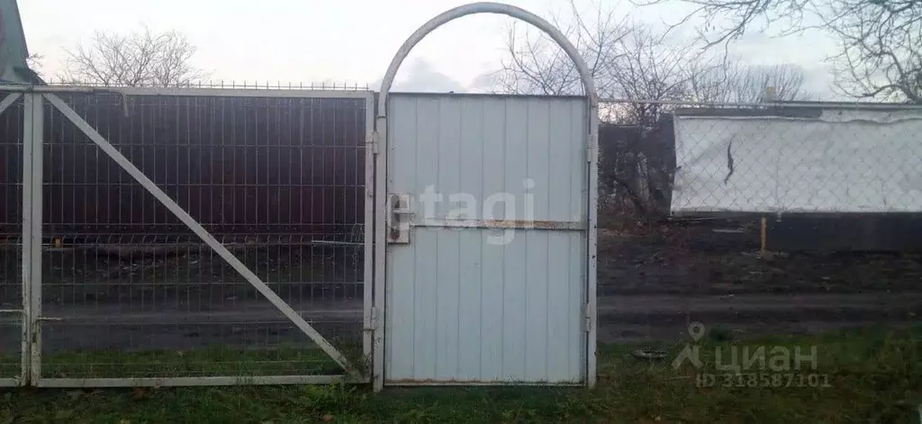 Участок в Белгородская область, Яковлевский муниципальный округ, ... - Фото 0