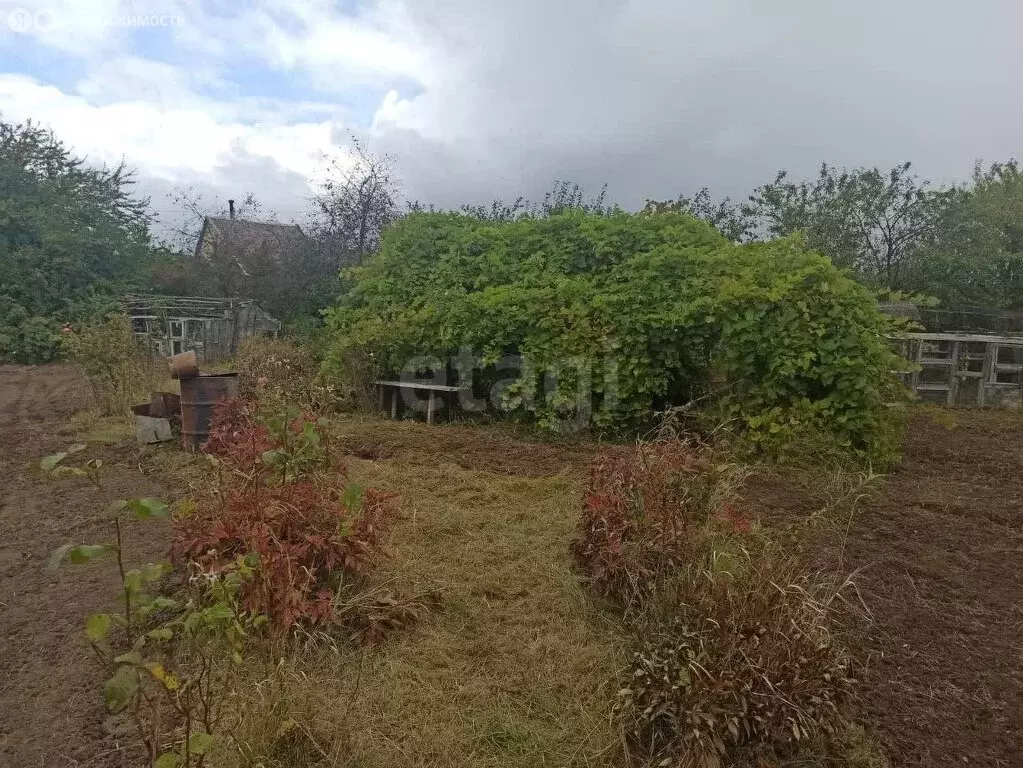 Участок в Калининград, СНТ Мелиоратор, Васильковая улица (4.7 м) - Фото 1
