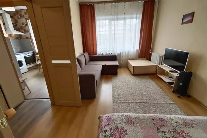 1-к кв. Мурманская область, Кировск Олимпийская ул. (30.0 м) - Фото 0