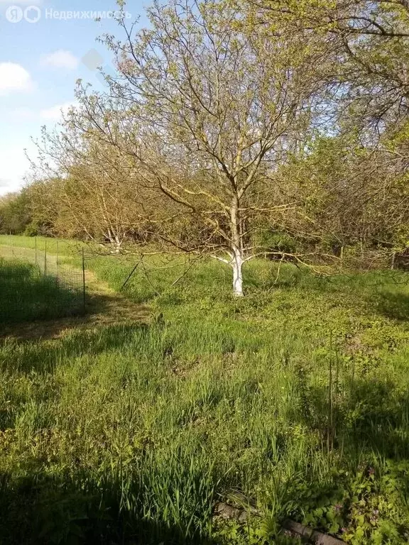 Участок в Тахтамукайский район, аул Афипсип (34.04 м) - Фото 1