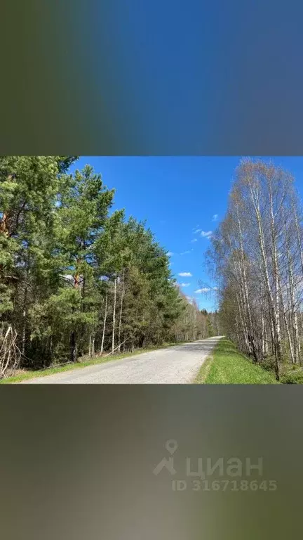 Участок в Удмуртия, Завьяловский район, Мирный починок ул. Липовая ... - Фото 1