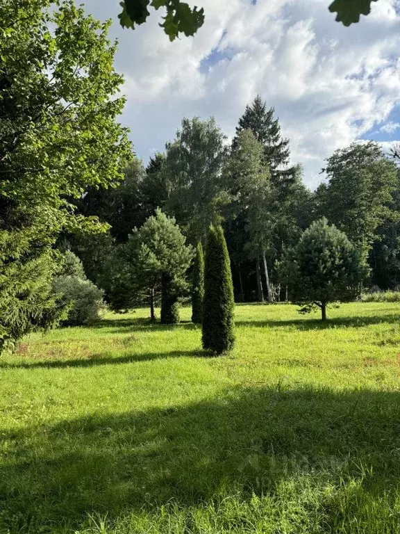 Участок, 30 сот., поселения (ижс) - Фото 0