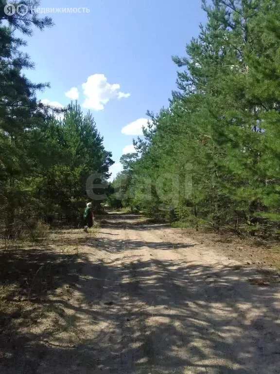 Участок в Перешеечный, Кирпичная улица (38.59 м) - Фото 1