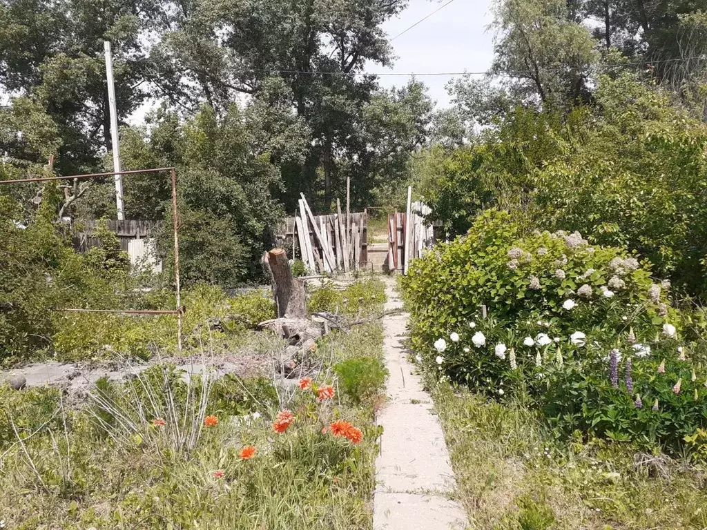 Участок в Волгоградская область, Краснослободск Среднеахтубинский ... - Фото 0