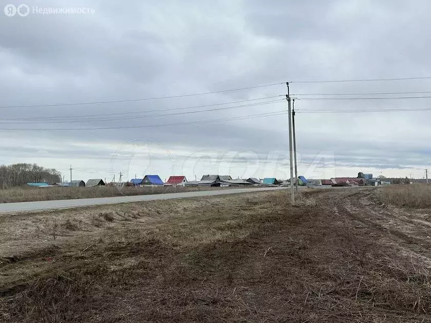 Участок в Червишевское муниципальное образование (8 м) - Фото 0