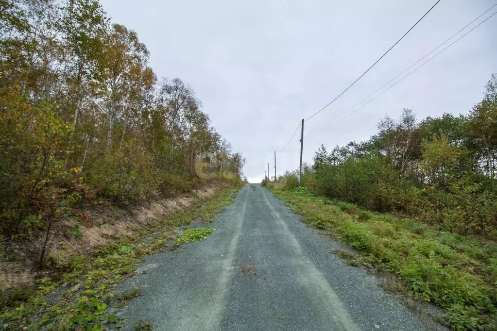 Участок в Сахалинская область, Южно-Сахалинск Нарколог ДНТ, 17 (10.0 ... - Фото 1