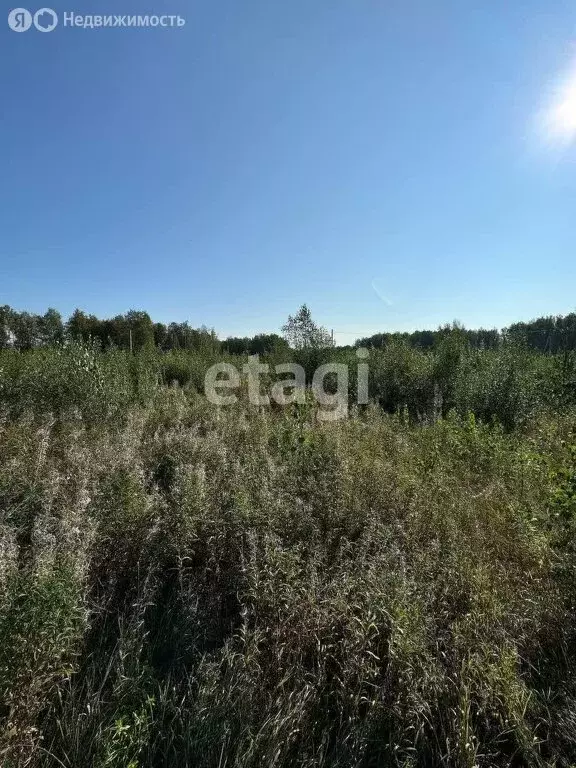 Участок в Томский район, ДНП Слобода Вольная (7.42 м) - Фото 0