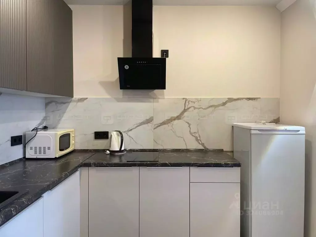 1-к кв. Татарстан, с. Высокая Гора ул. Хасана Шайдуллина, 1 (30.0 м) - Фото 1