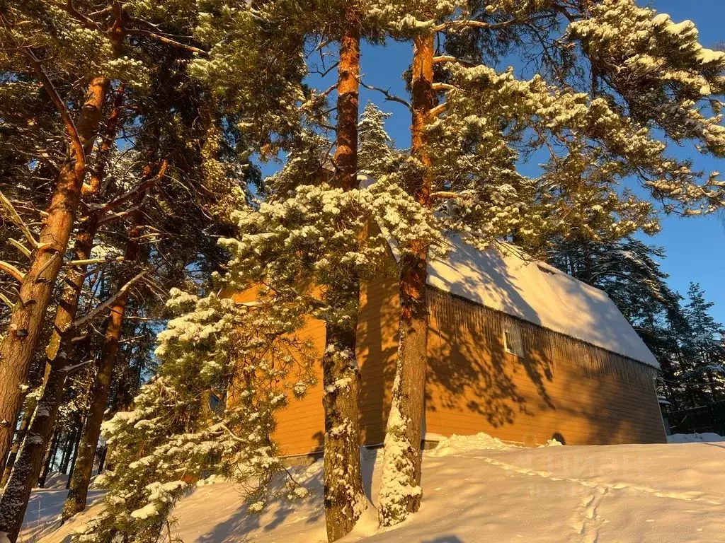 Дом в Ленинградская область, Выборгский район, Приморское городское ... - Фото 1