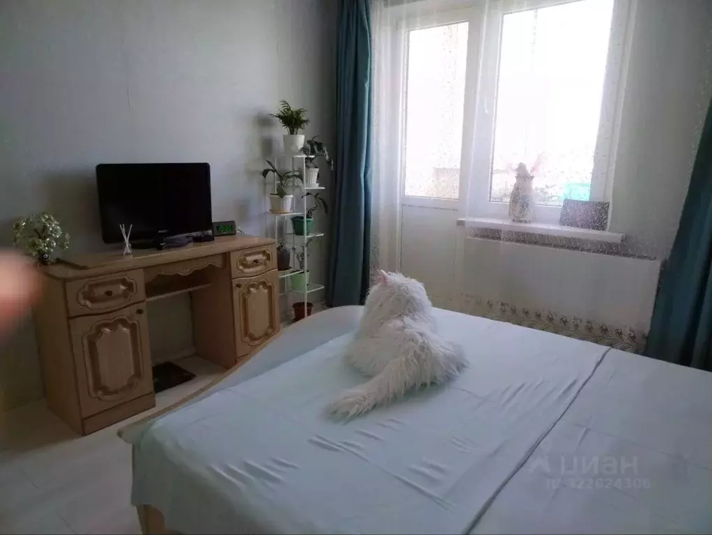 2-к кв. Краснодарский край, Геленджик ул. Маршала Жукова, 1к2 (62.0 м) - Фото 2