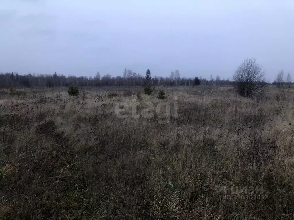 Участок в Томская область, Томский район, д. Борики  (11.09 сот.) - Фото 1