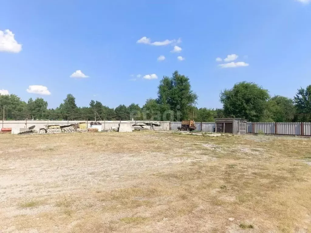 Помещение свободного назначения в Белгородская область, Новооскольский ... - Фото 1