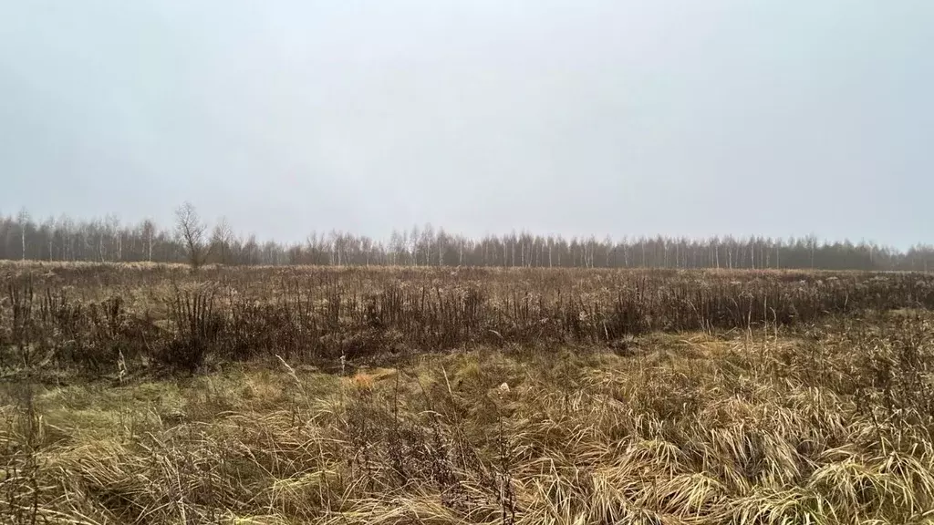 Участок в Московская область, Ступино городской округ, д. Дворяниново ... - Фото 1