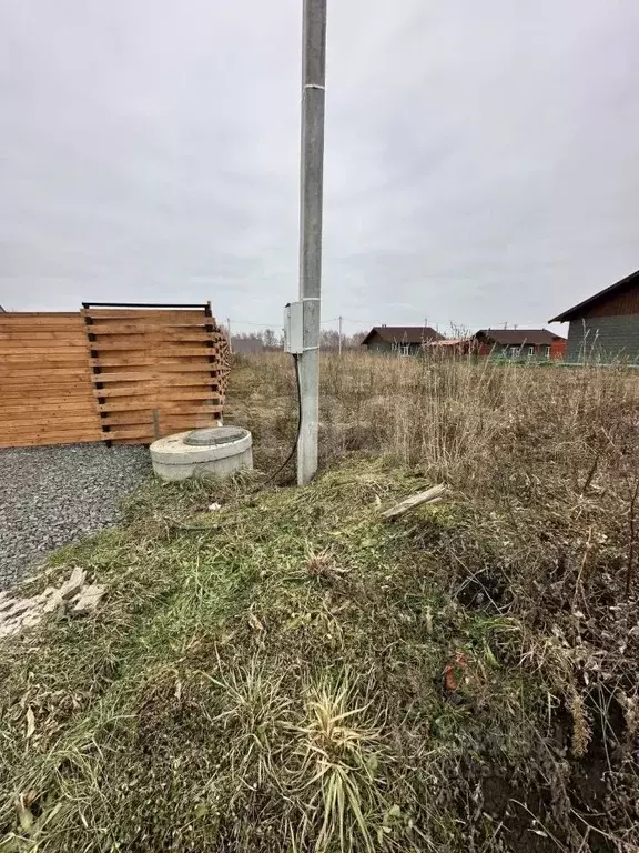 Участок в Томская область, Томский район, д. Новомихайловка, Кедры ДНП ... - Фото 2