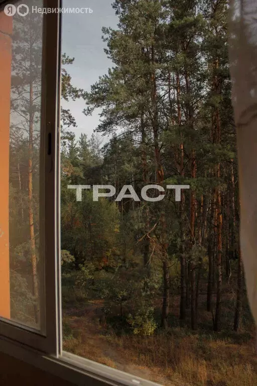 1-комнатная квартира: Воронеж, улица 9 Января, 304Б (40.6 м) - Фото 2