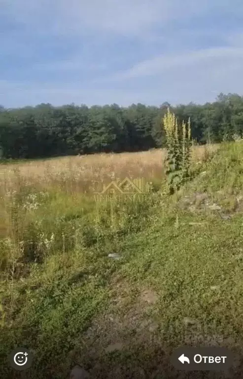 Участок в Северная Осетия, Владикавказ пл. Свободы (5.0 сот.) - Фото 1