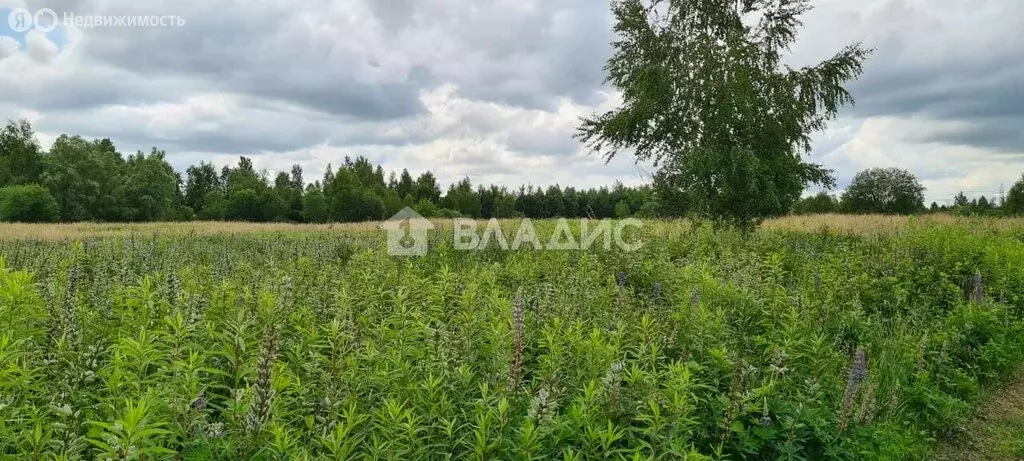 Участок в Луговое, Центральная улица (50 м) - Фото 0