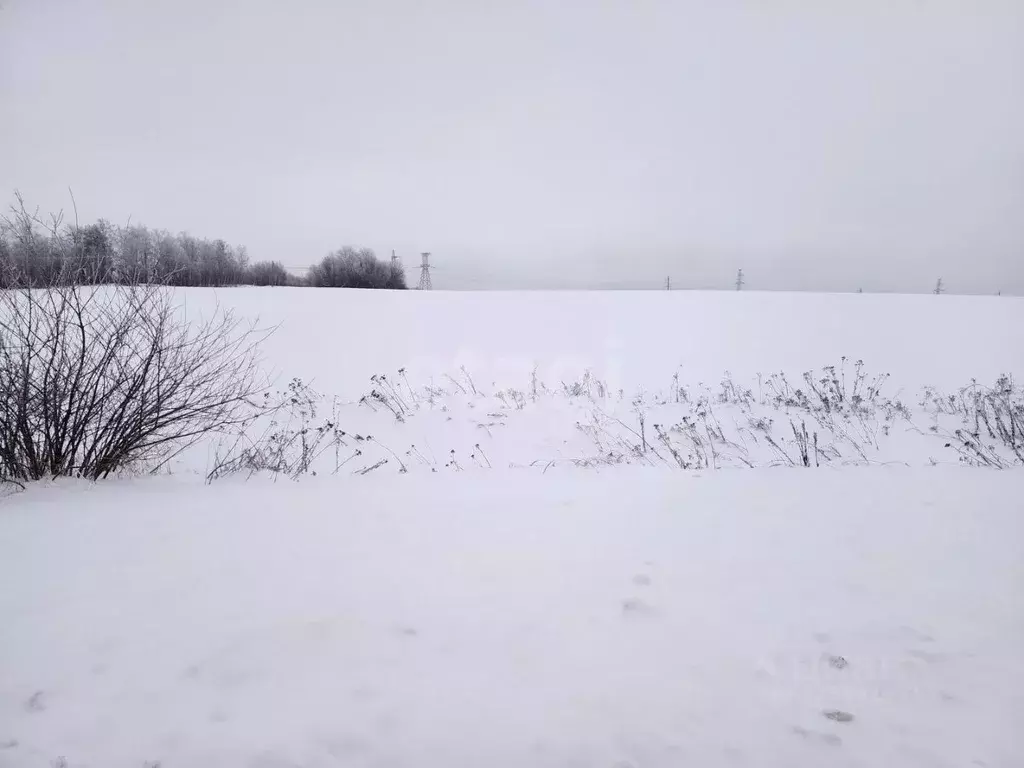 Участок в Брянская область, Брянский район, с. Глинищево ул. П.М. ... - Фото 2