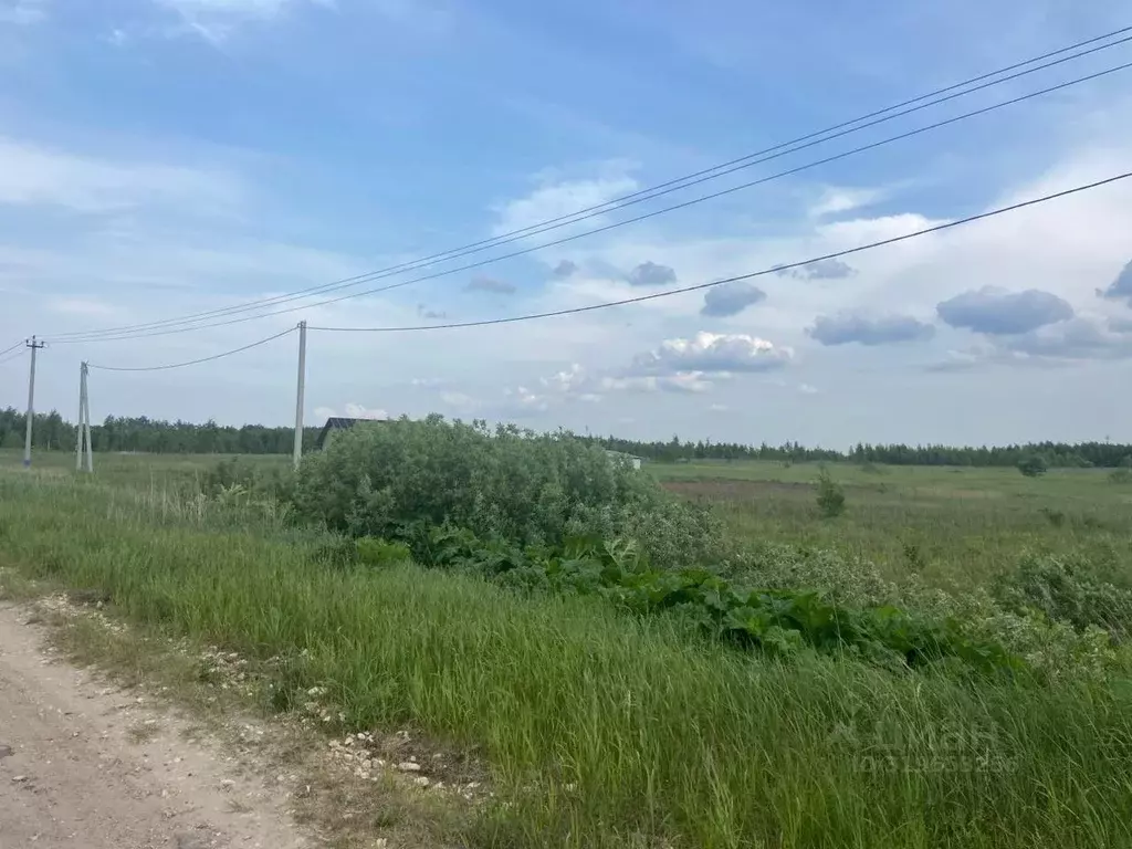 Участок в Московская область, Шатура муниципальный округ, д. Курьяниха ... - Фото 1