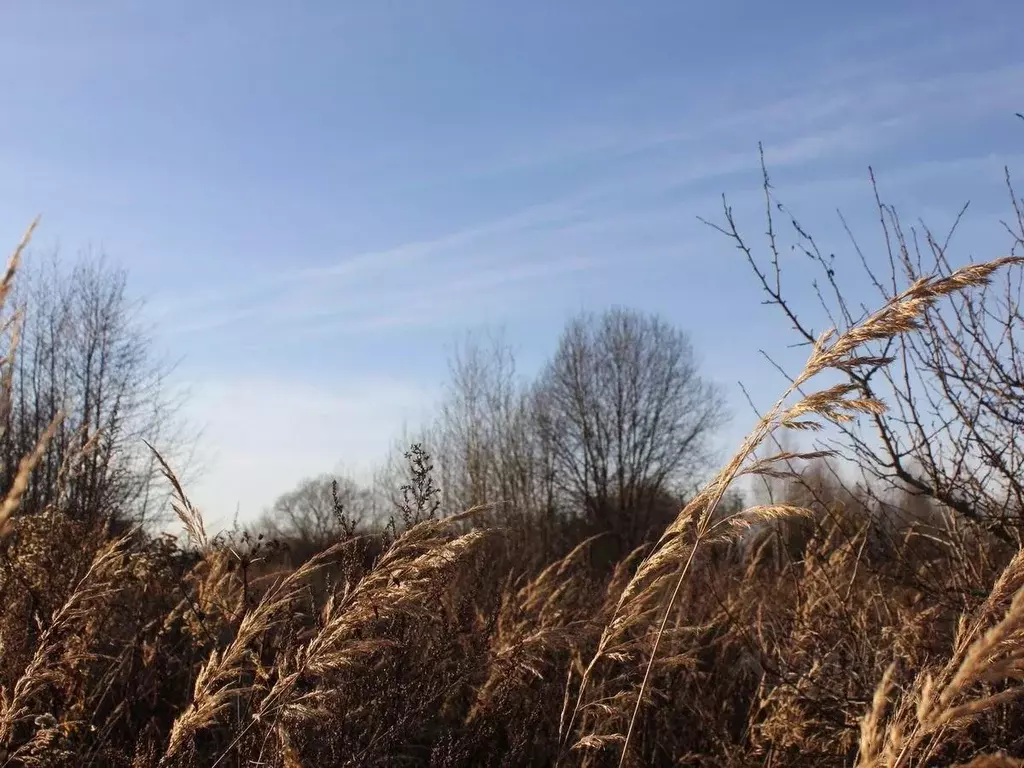 Участок в Москва д. Кузнецово, ул. Березовая (9.38 сот.) - Фото 2