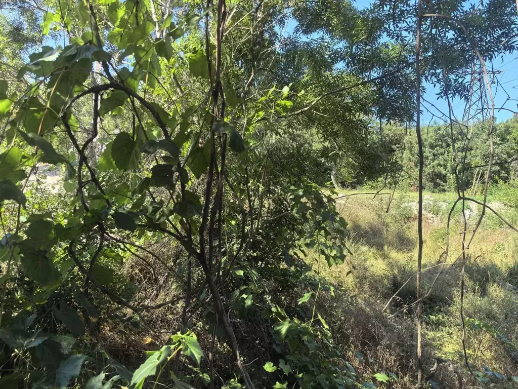 Участок в Краснодарский край, Новороссийск Цемдолина тер., ул. ... - Фото 2