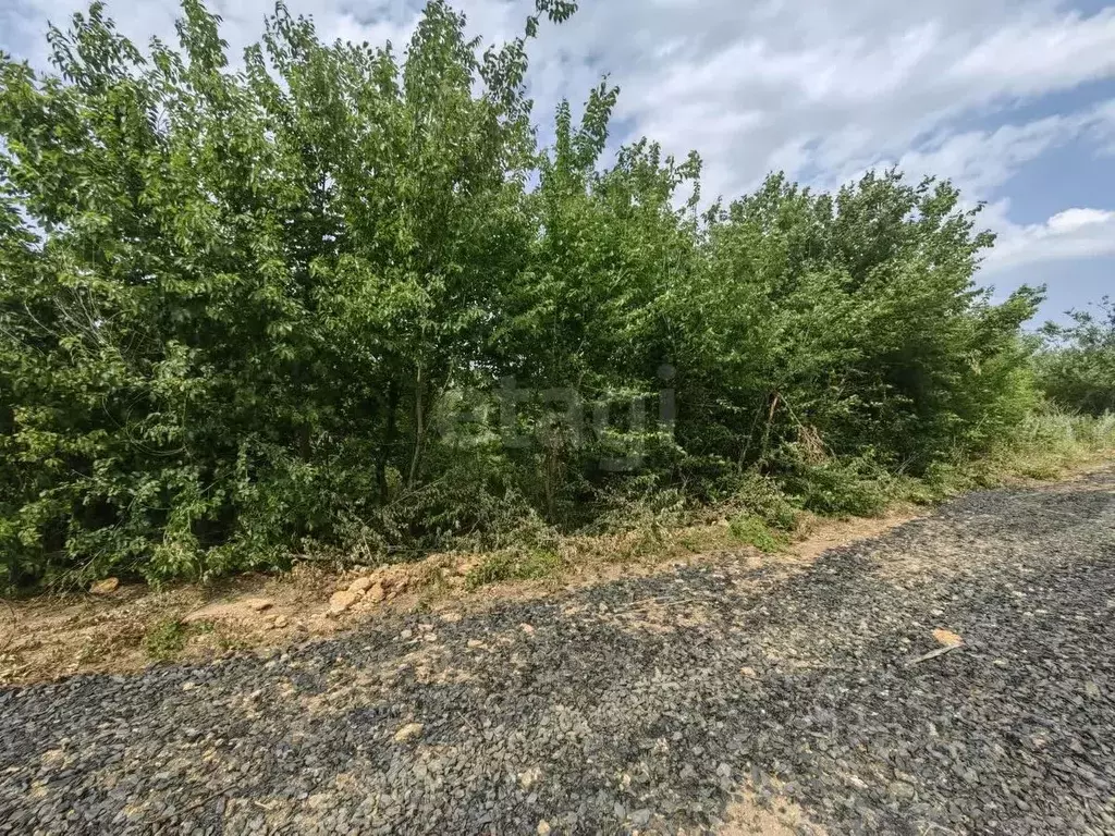 Участок в Ростовская область, Родионово-Несветайский район, ... - Фото 2