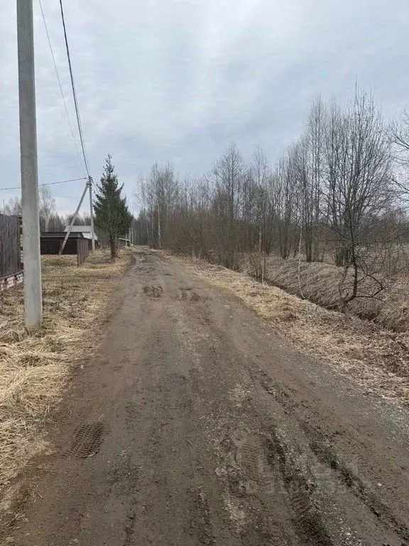 Участок в Тверская область, Кимрский муниципальный округ, д. Кадниково ... - Фото 0