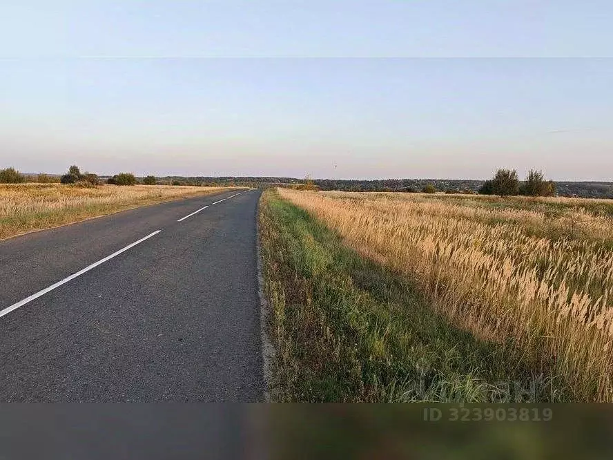 Участок в Московская область, Серебряные Пруды пгт ул. Советская ... - Фото 2