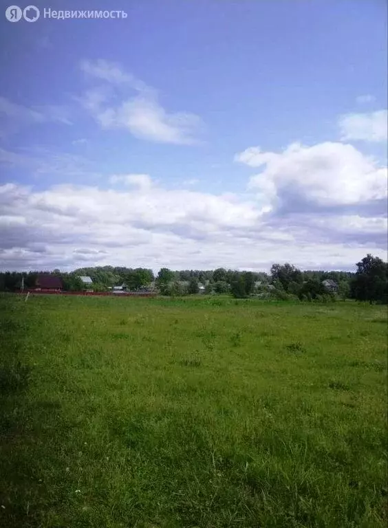 Участок в Тверская область, Рамешковский муниципальный округ, сельское ... - Фото 2