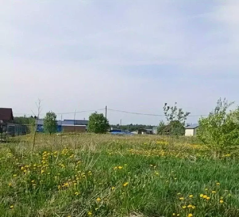 Участок в Ленинградская область, Ломоносовский район, Гостилицкое ... - Фото 1