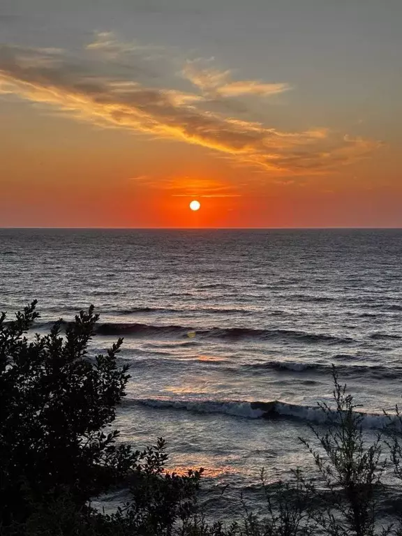 1-к кв. Калининградская область, Пионерский ул. Прибрежная, 21к3 (26.8 ... - Фото 1