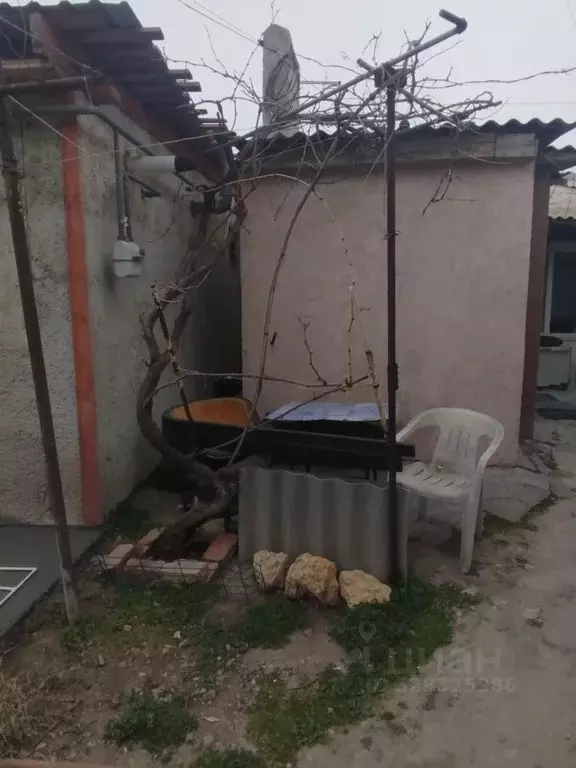 2-к кв. Крым, Евпатория ул. Демышева, 66 (29.2 м) - Фото 2