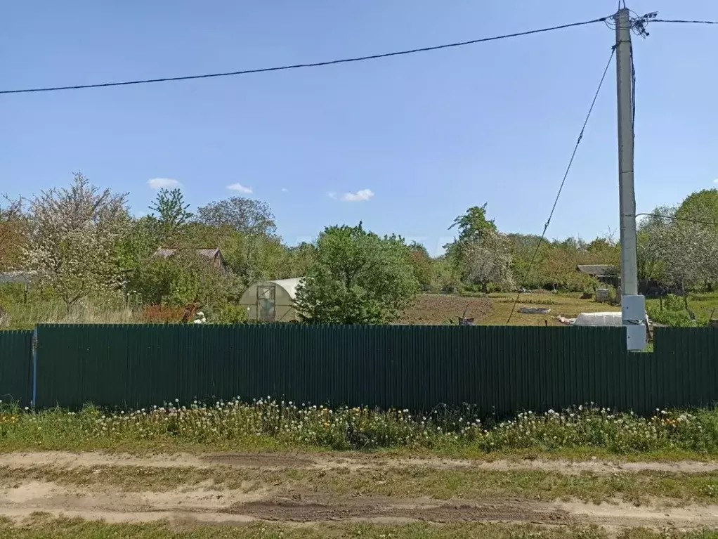 Участок в Калининградская область, Янтарный пгт, Садовник СНТ  (7.9 ... - Фото 1