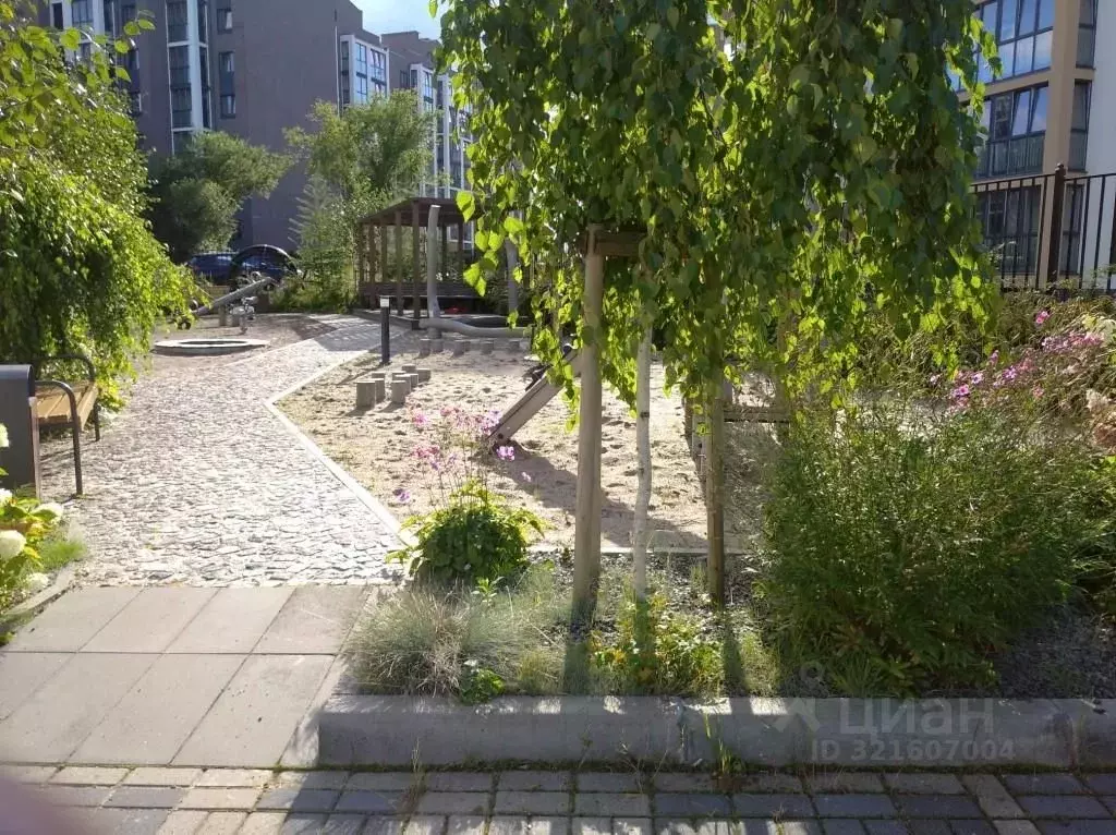 Студия Калининградская область, Пионерский Октябрьская ул., 6Б (19.0 ... - Фото 1