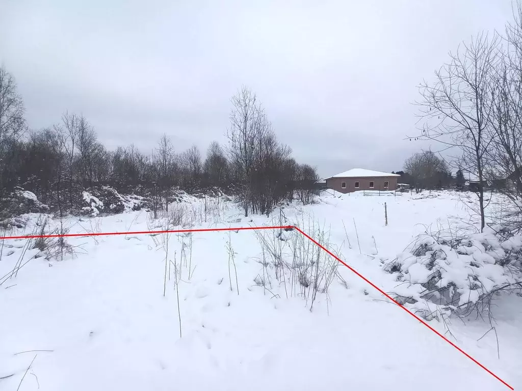 Участок в Ленинградская область, Приозерский район, Ромашкинское ... - Фото 0