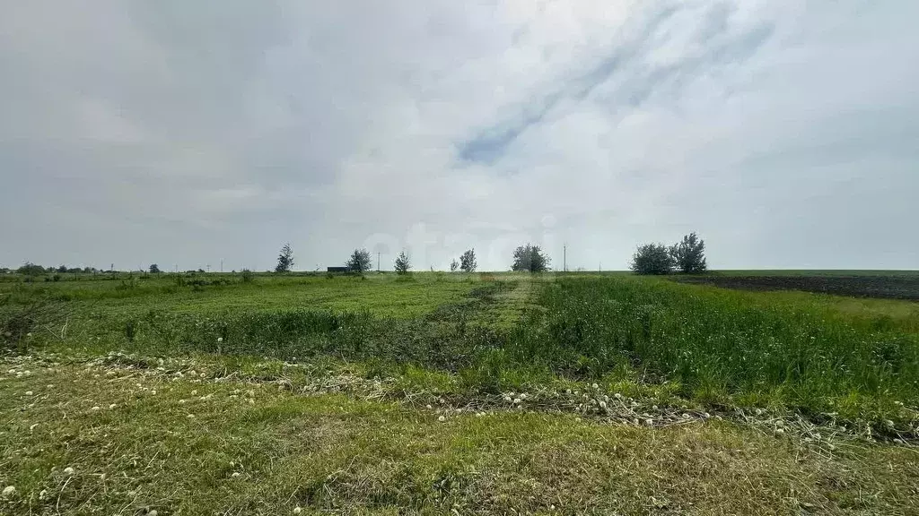 Дом в Орловская область, Орловский район, д. Жуковка Раздольная ул., ... - Фото 0
