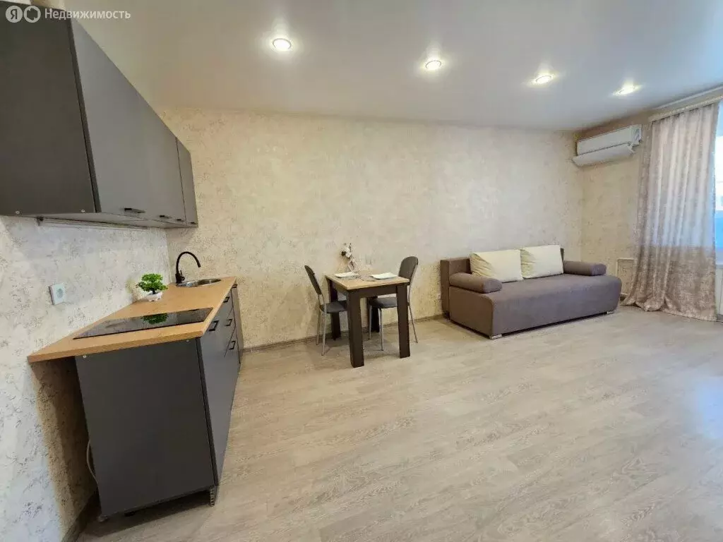 Квартира-студия: село Чигири, Восточная улица, 14/1 (29.4 м) - Фото 1