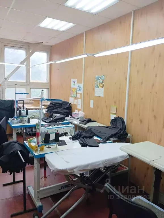 Офис в Новосибирская область, Новосибирск Часовая ул., 6/5 (35 м) - Фото 0