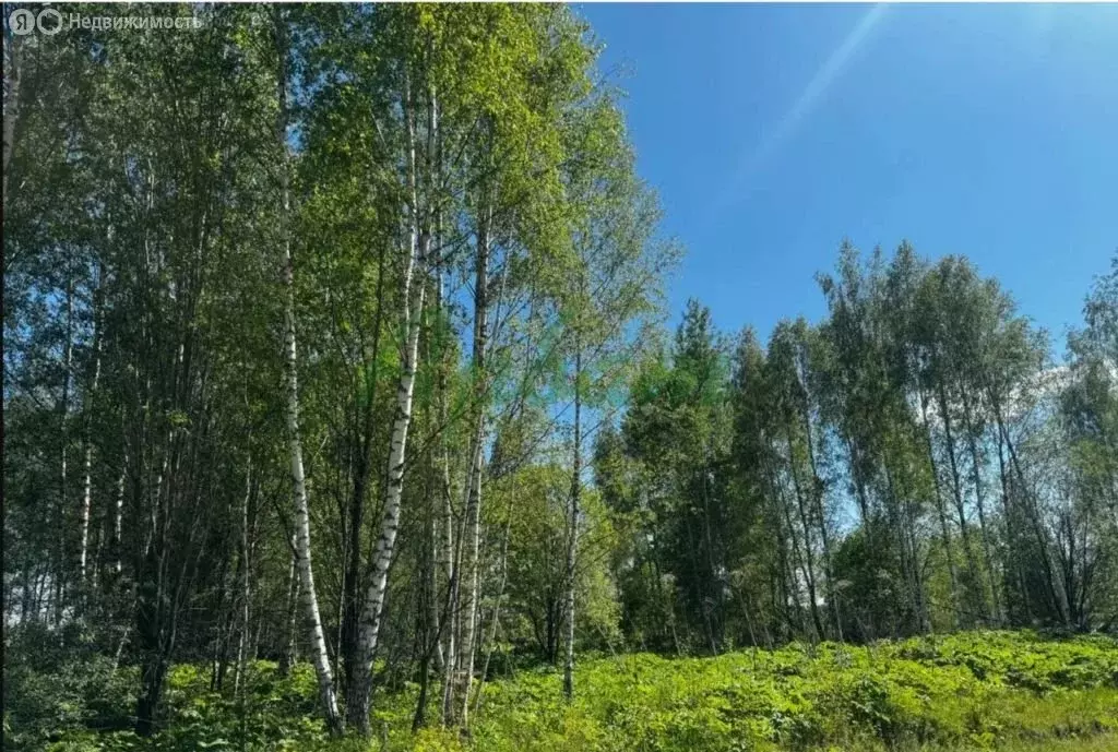 Участок в Тверская область, Конаковский муниципальный округ, село ... - Фото 2