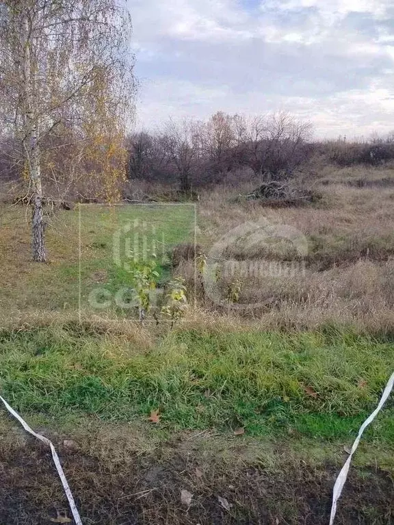 Участок в Воронежская область, Новоусманский район, пос. Отрадное ул. ... - Фото 2