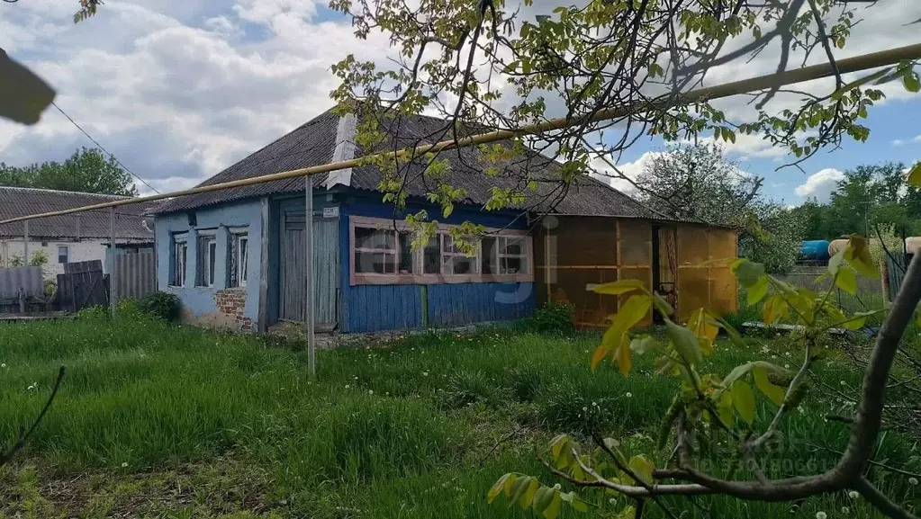 Дом в Белгородская область, Губкинский городской округ, с. Долгое  (49 ... - Фото 1