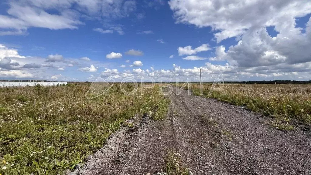 Участок в Тюменская область, Тюменский район, д. Малиновка, Вольные ... - Фото 1