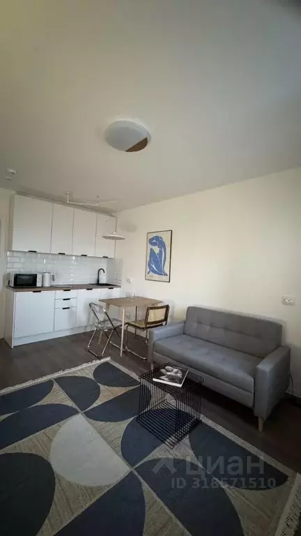 Студия Санкт-Петербург ул. Маршала Казакова, 21к3 (23.0 м) - Фото 1