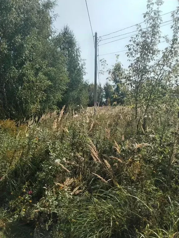 Участок в Московская область, Луховицы  (12.0 сот.) - Фото 2