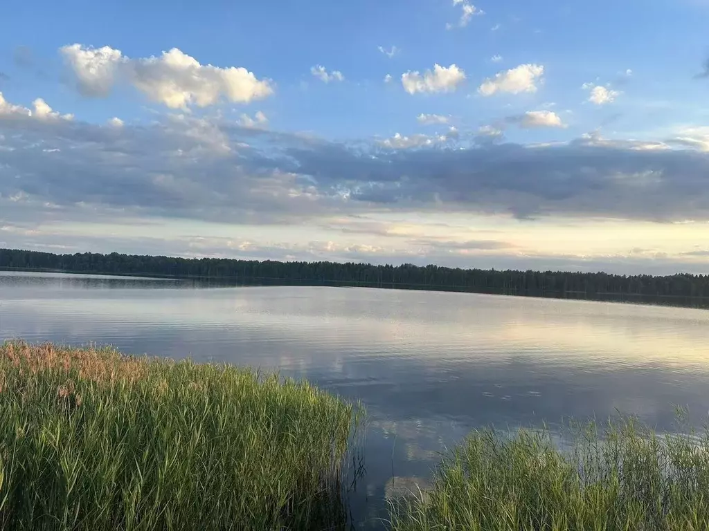 Участок в Новгородская область, Крестецкий муниципальный округ, д. ... - Фото 2