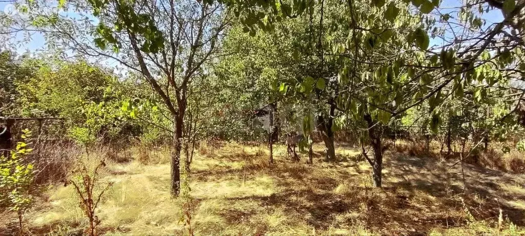 Участок в Симферополь, 39-я улица Коллективных Садов (4.17 м) - Фото 2