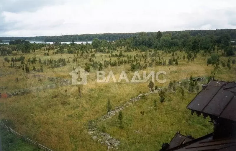 Участок 12 га (СНТ, ДНП) - Фото 0