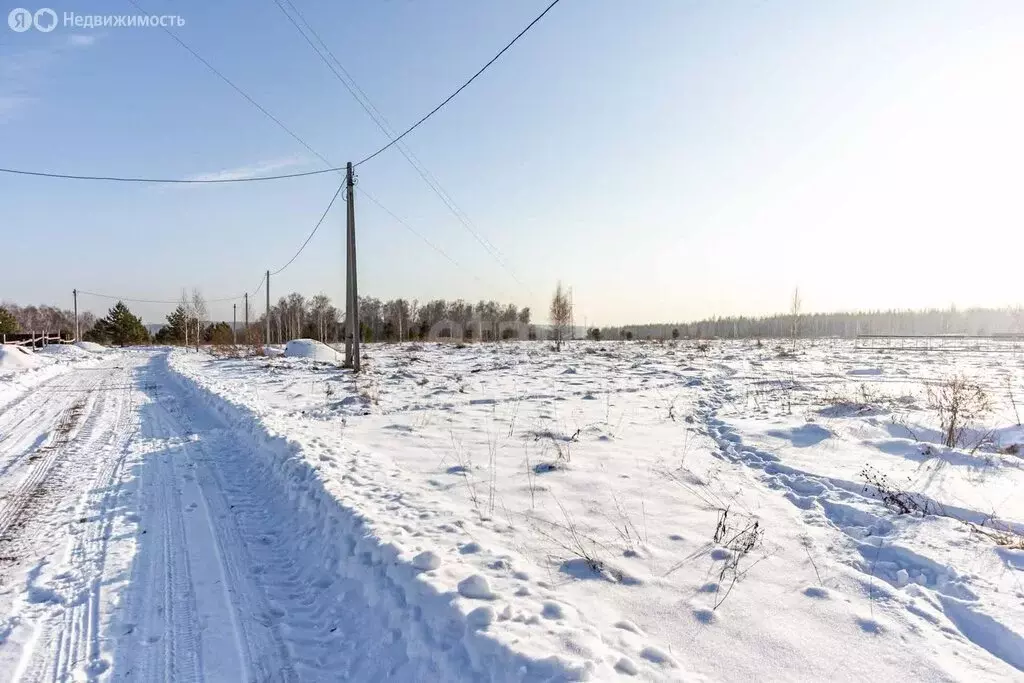 Участок в Искитимский район, село Морозово (9.5 м) - Фото 1