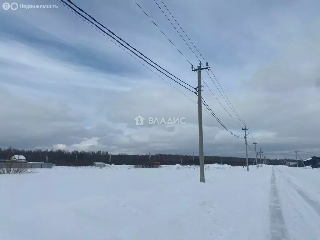 Участок в Нижегородская область, Богородский муниципальный округ, ... - Фото 1