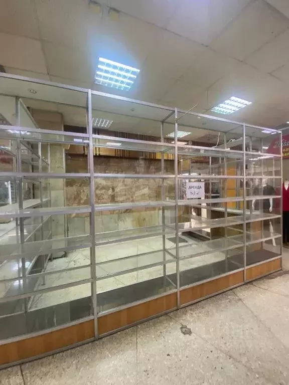 Торговая площадь в Томская область, Томск просп. Ленина, 15 (14 м) - Фото 2